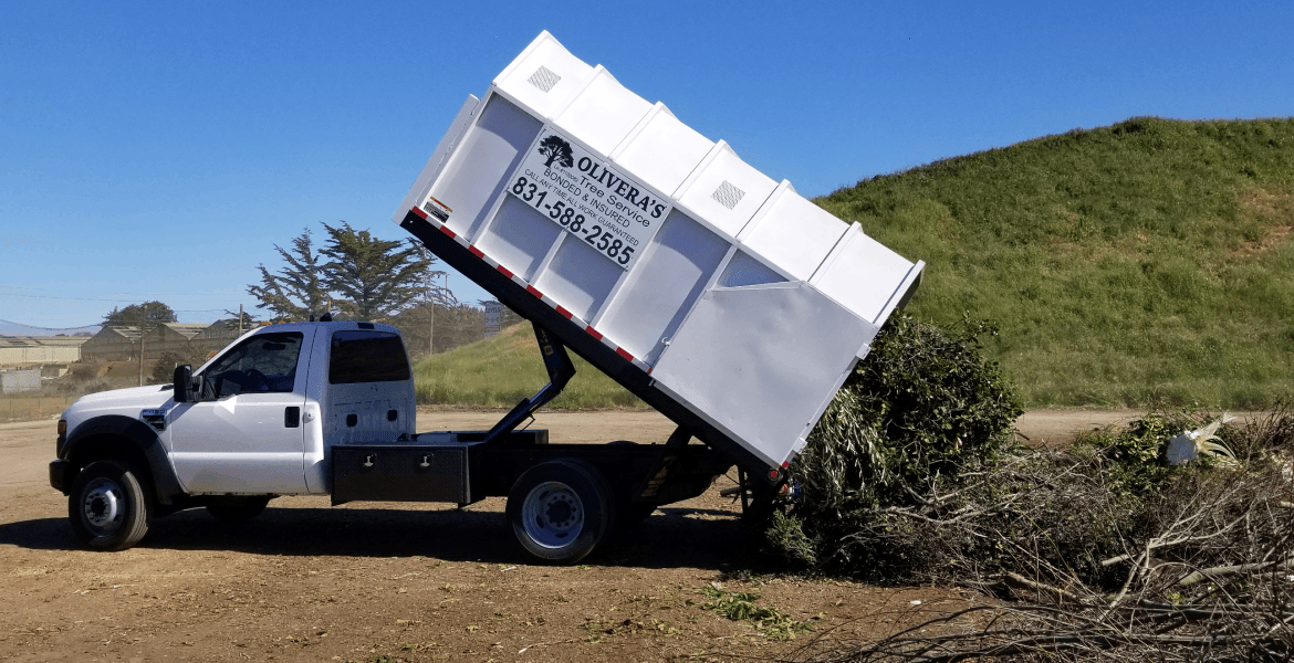Olivera's Tree Service