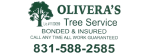 Olivera's Tree Service